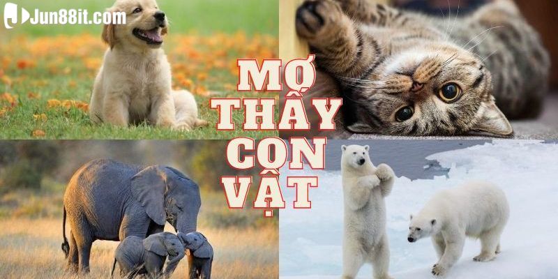 Mơ thấy con vật 