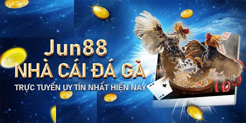 Hướng dẫn cách đăng ký tham gia đá gà Jun88