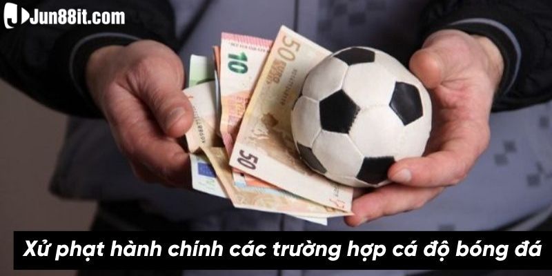 Luật cá độ bóng đá về vi phạm hành chính