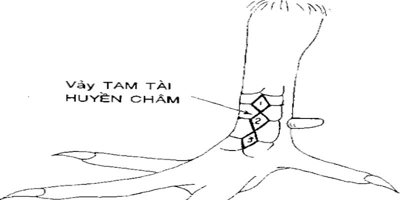 Chiến kê có vảy gà huyền trầm đá hay không?