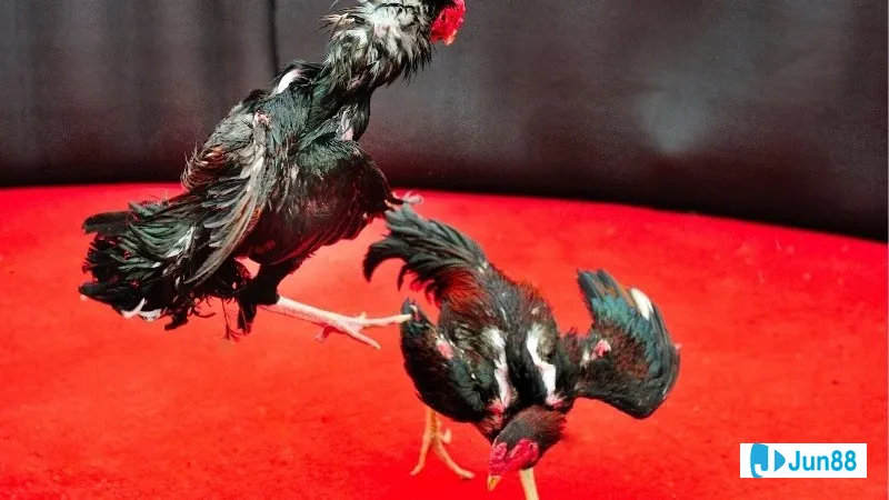 Đo lường và phân tích kết quả marketing